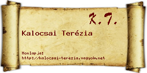 Kalocsai Terézia névjegykártya